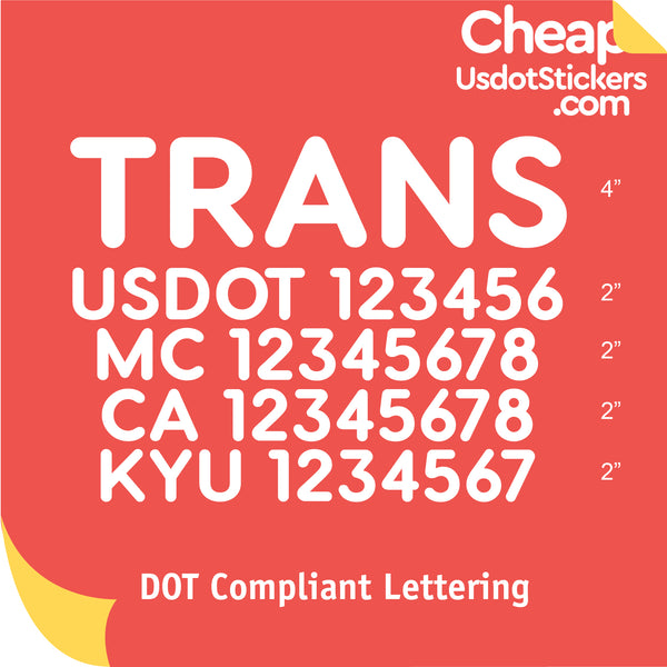 Transport Name with USDOT, MC, CA & KYU Number Decal Lettering (Set of 2)
